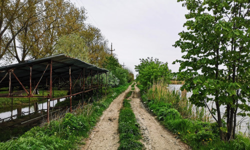 IMG-20190424-WA0006