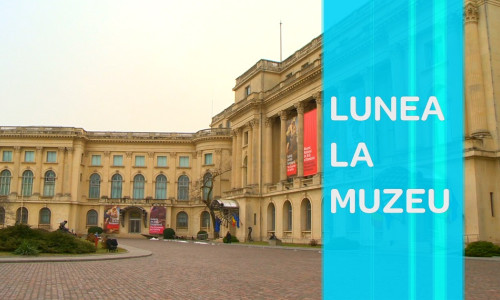 lunea la muzeu