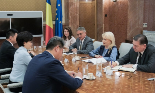 Viorica Dăncilă, cu părul despletit 2
