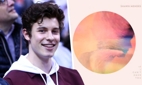 shawn mendes