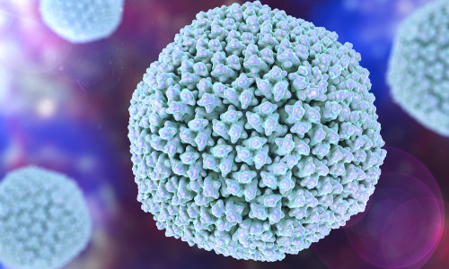 Virus Herpes Simplex 1 (ăla care face herpes oral)