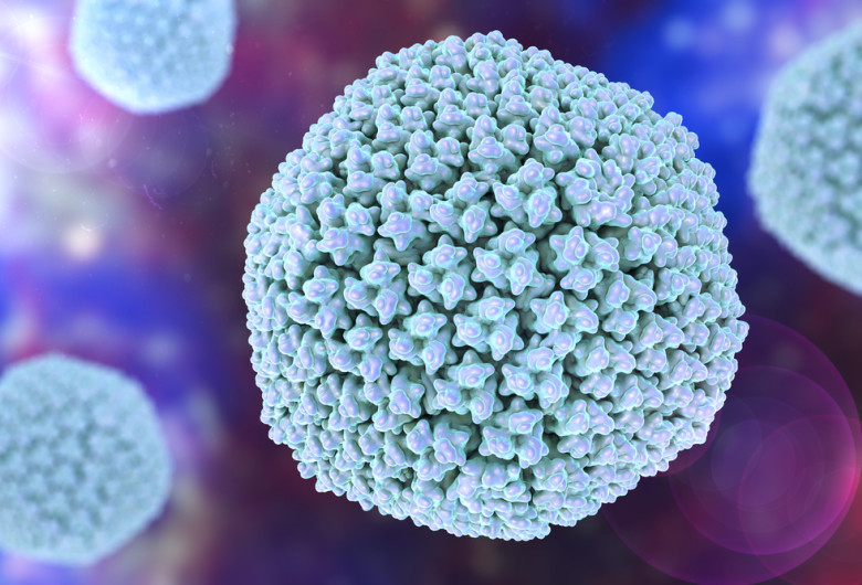 Virus Herpes Simplex 1 (ăla care face herpes oral)
