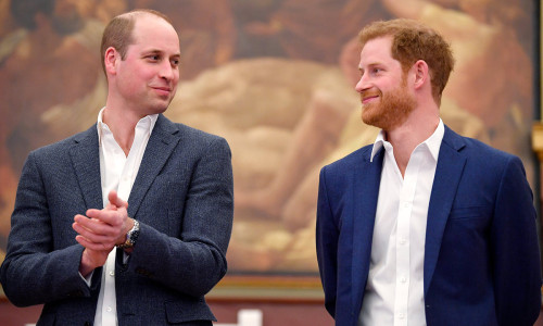 prince-harry-william