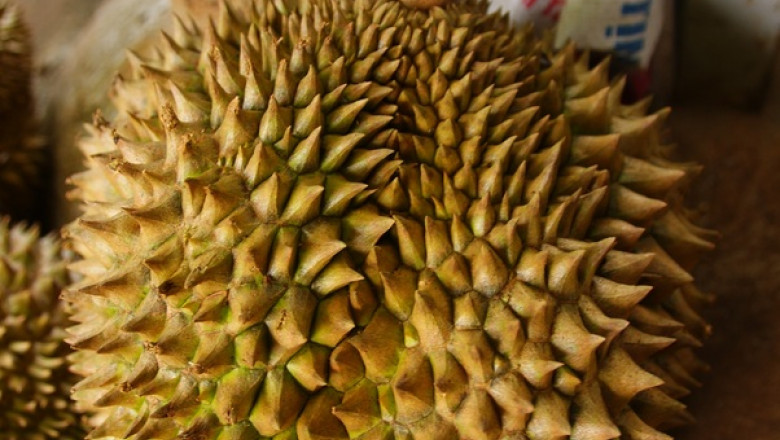 Fruct de durian