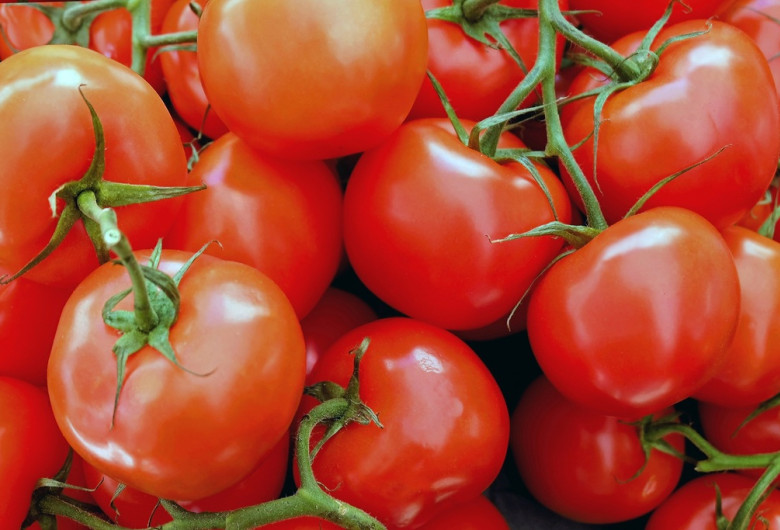 Roșii, tomate