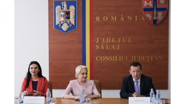 viorica dancila salaj