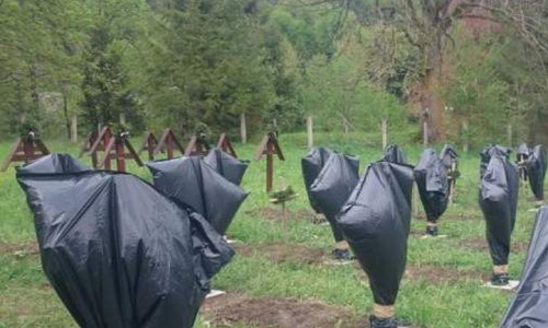 Cimitirul Eroilor din Valea Uzului
