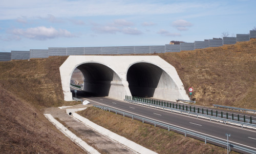 FOTO_Ecoduct Branisca_c_Doru Oprisan (5)