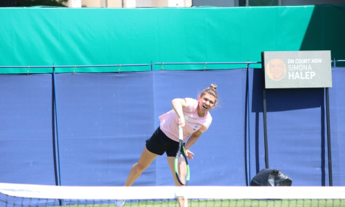 Simona Halep chinuită