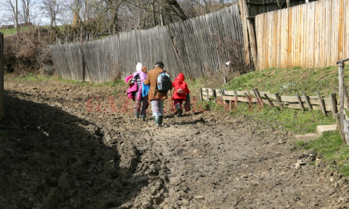 Copii, elevi, noroaie, abandon școlar, educație rural