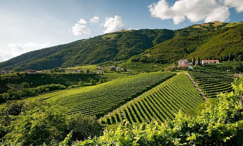 Colinele viticole Prosecco