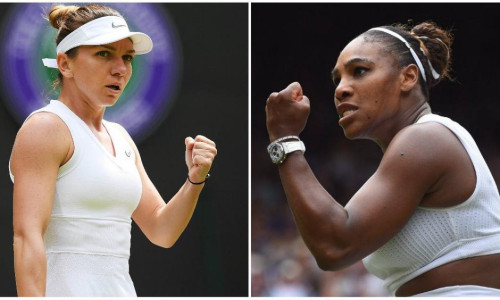halep williams