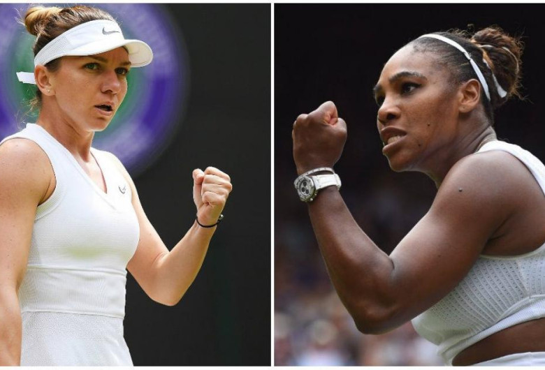 halep williams
