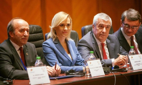 firea tariceanu