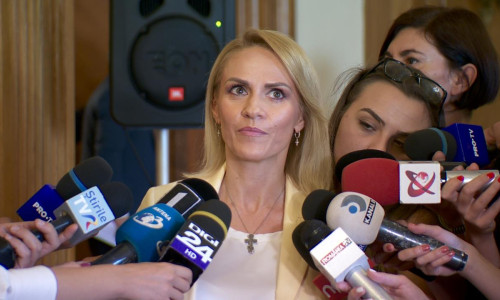 Gabriela Firea, după CEx PSD (1)