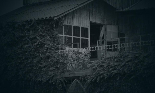 Casa criminalului Gheorghe Dincă