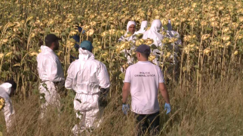 Percheziții, căutări, Poliția Criminalistică într-un lan de floarea soarelui, Gheorghe Dincă