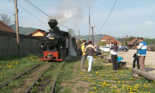 Mocănița din Vișeu