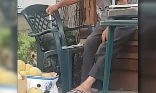 Pepeni injectați cu seringa