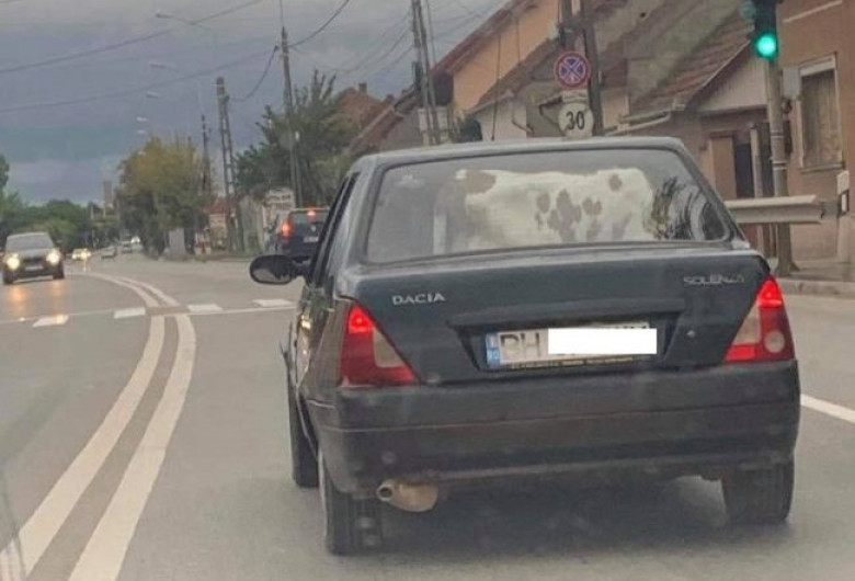 vitel-masina-trafic-oradea-e1566197679898