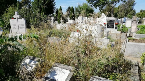 cimitir arad