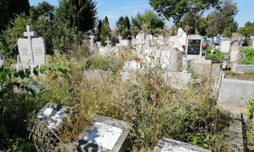 cimitir arad