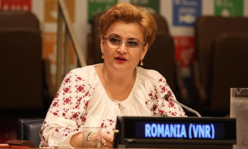 gratiela gavrilescu