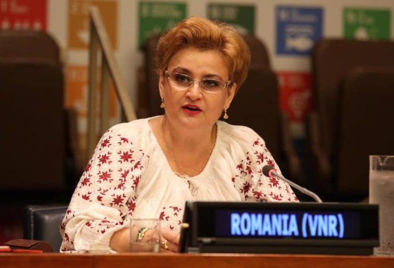 gratiela gavrilescu