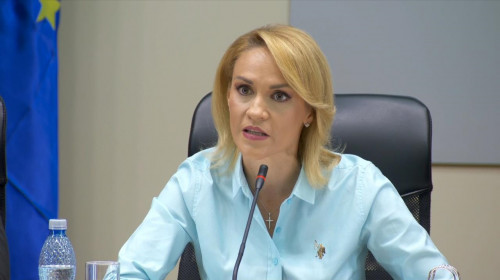 Gabriela Firea