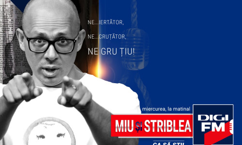 Machetă Negruțiu