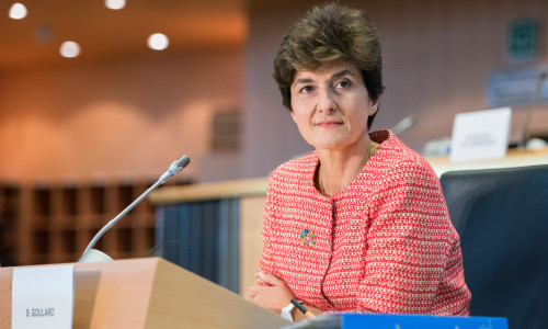 Sylvie Goulard