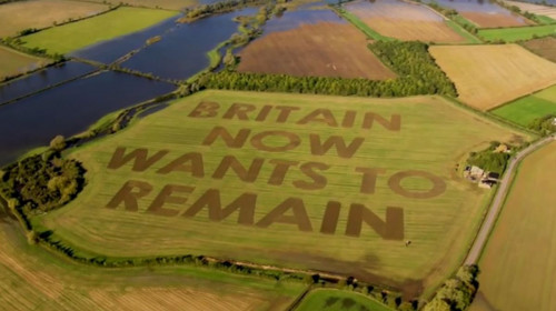 Mesaj anti-Brexit pe câmp