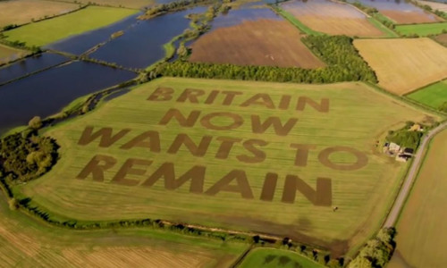 Mesaj anti-Brexit pe câmp