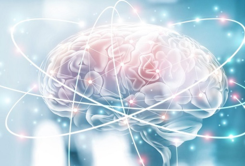 Creier, neuro, psihiatrie