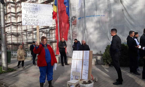 timisoara dancila pietre