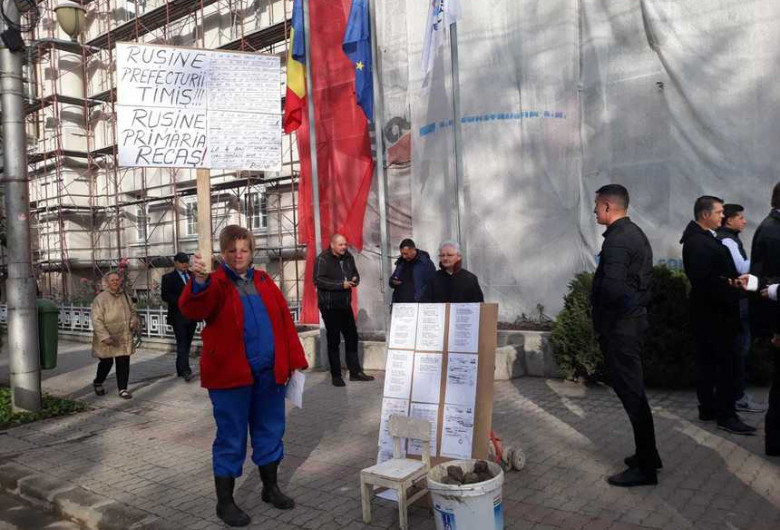 timisoara dancila pietre
