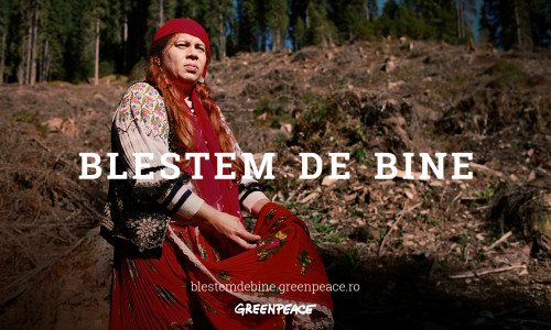 Blestem de bine Greenpeace România