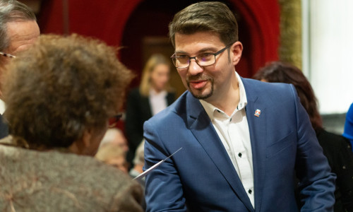 cosmin necula