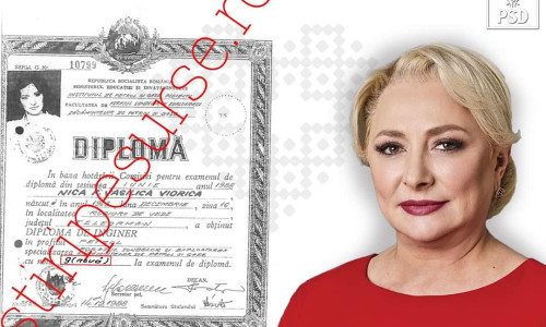 dancila licenta
