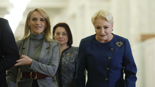 dancila