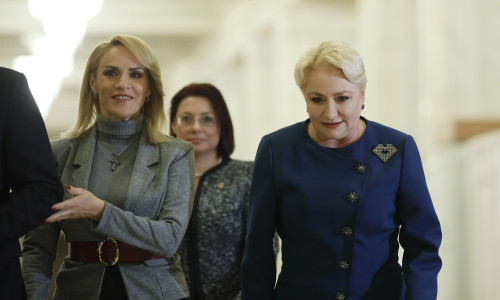 dancila