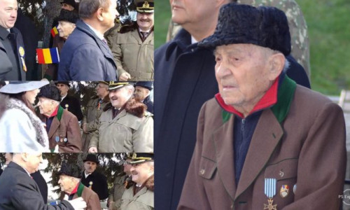 veteran