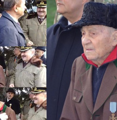 veteran