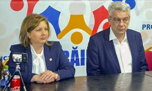 meirosu tudose