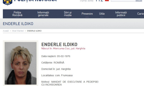 Enderle Ildiko