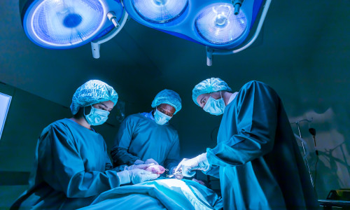 Transplant de inimă/ Shutterstock