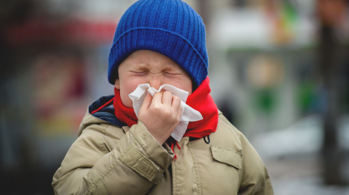 Little,Child,Boy,In,Scarf,And,Hat,Blow,His,Nose.