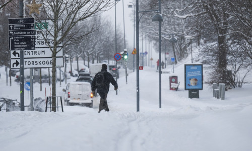 profimedia-0834208645