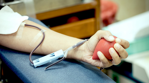 Donare de sânge/ Shutterstock