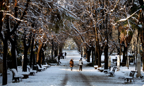 Vremea/ Shutterstock